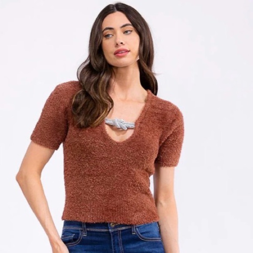 Cozy Rust Brown Short-Sleeve Fuzzy Top